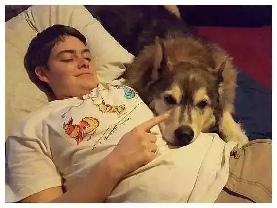 哈士奇被确诊淋巴癌后续,癌症晚期的哈士奇