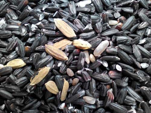 黑米黑芝麻一天吃多少可以黑发,黑米超级健康食物