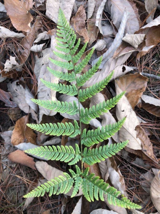 深入传销大本营的解救活动,深入传销组织的小说