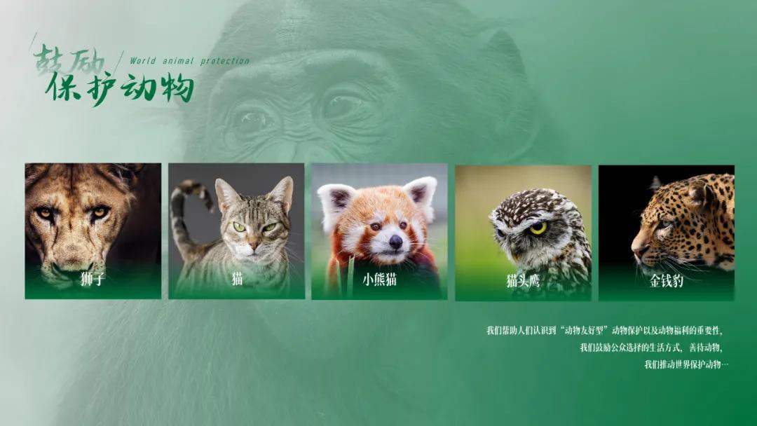 ppt排版设计技巧ppt制作培训教程,ppt多图经典案例排版