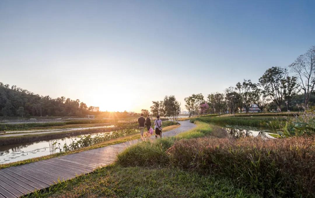 蝶变茅洲河，遇见城之美/同济设计TJAD