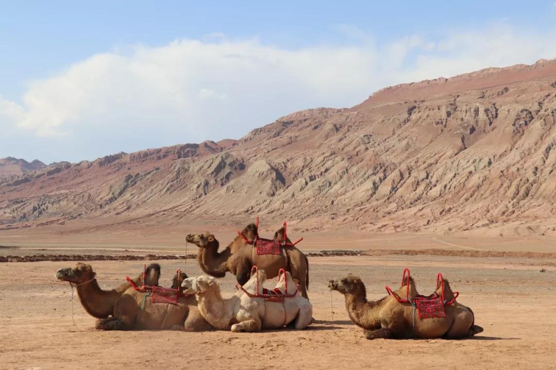 云旅游带你看遍天下美景,一起去旅行吧旅游