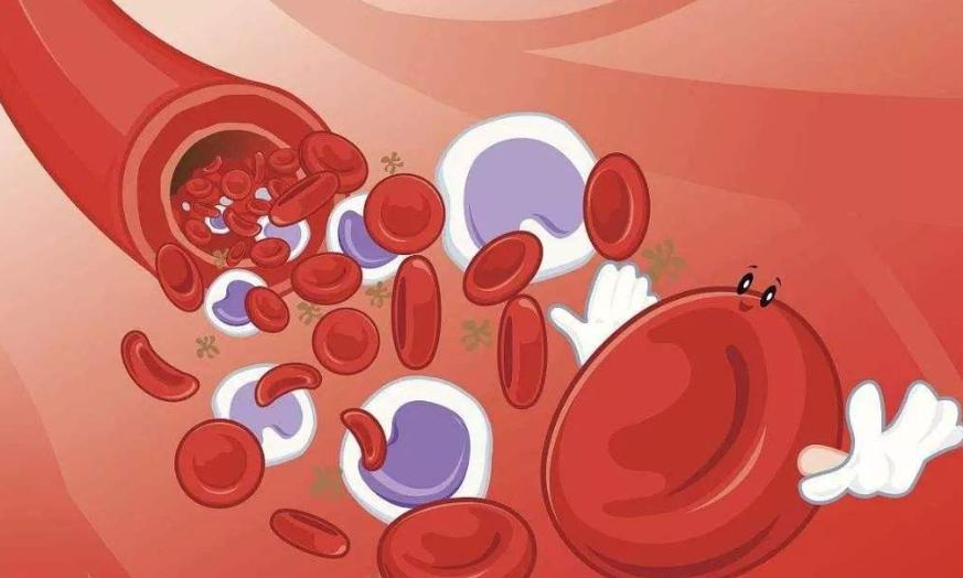 血管堵塞怎么办？一把笋这样吃，清除血液垃圾，让血管一通到底