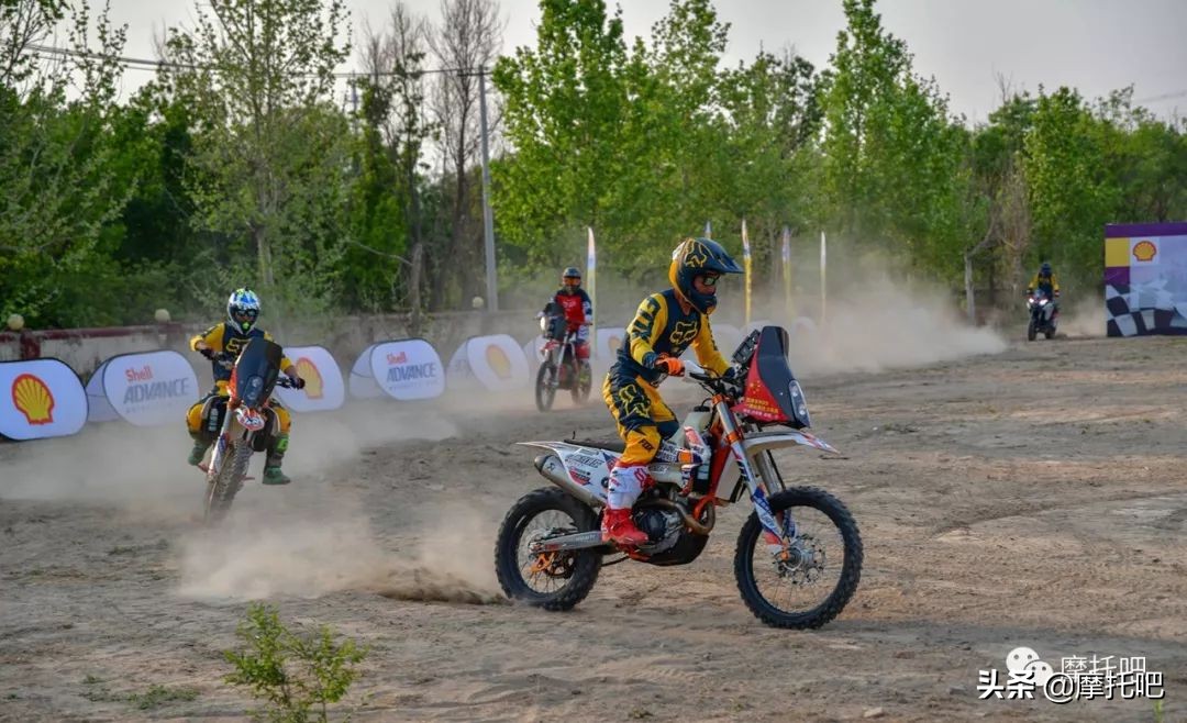 壳牌爱德王子劲擎10-30,壳牌爱德王子全系列