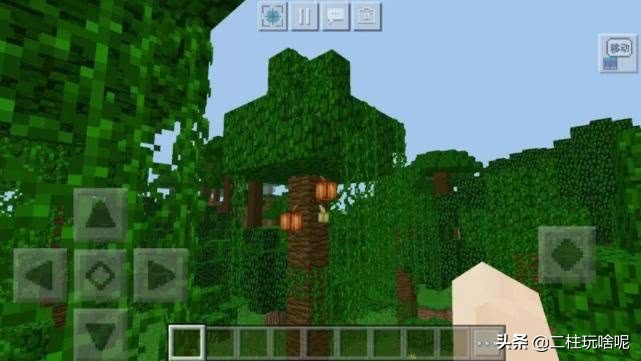 盘点一些我的世界植物排行榜,我的世界上有什么奇特的植物