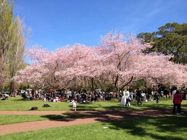新西兰人过得是不是都很轻松,在新西兰中国人现在怎么样