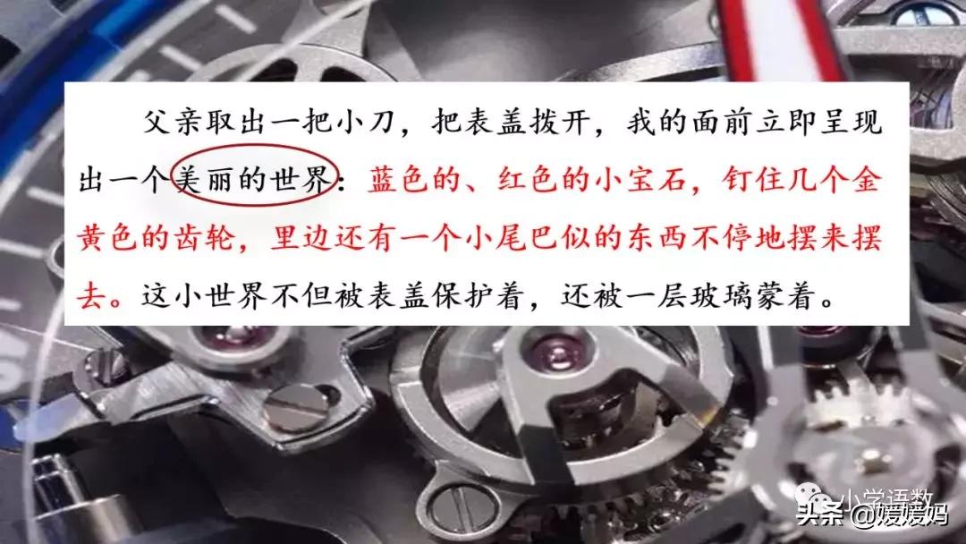 六年级下册语文表里的生物朗诵,六年级下册表里的生物小练笔400字