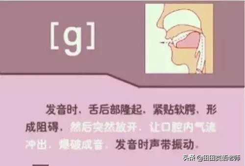 48个英语国际音标发音表图片,英语48个音标发音附详细图解视频