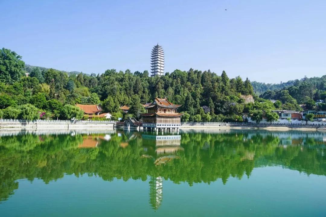 这是一个充满生机的公园怎么说,这是一个充满生机的国度朗诵