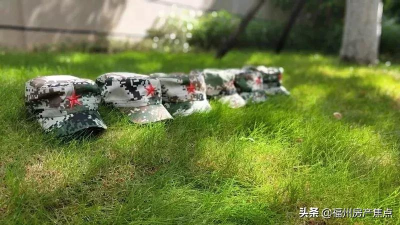 幸福的旅程完整版电视剧,幸福的旅程从万科出发