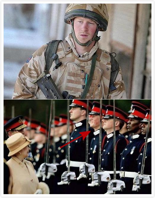 麦当娜与梅根,麦当娜凯特王妃