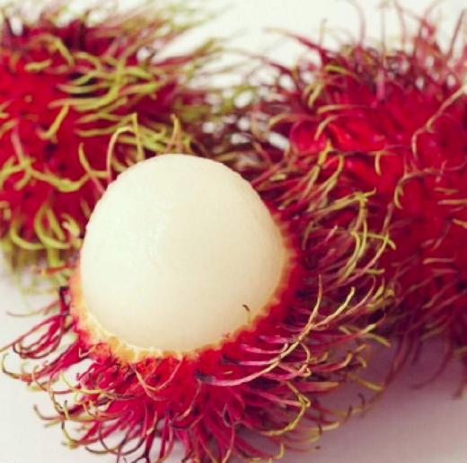 老中医可以给孩子起名吗,用中药名字给孩子取名可以吗