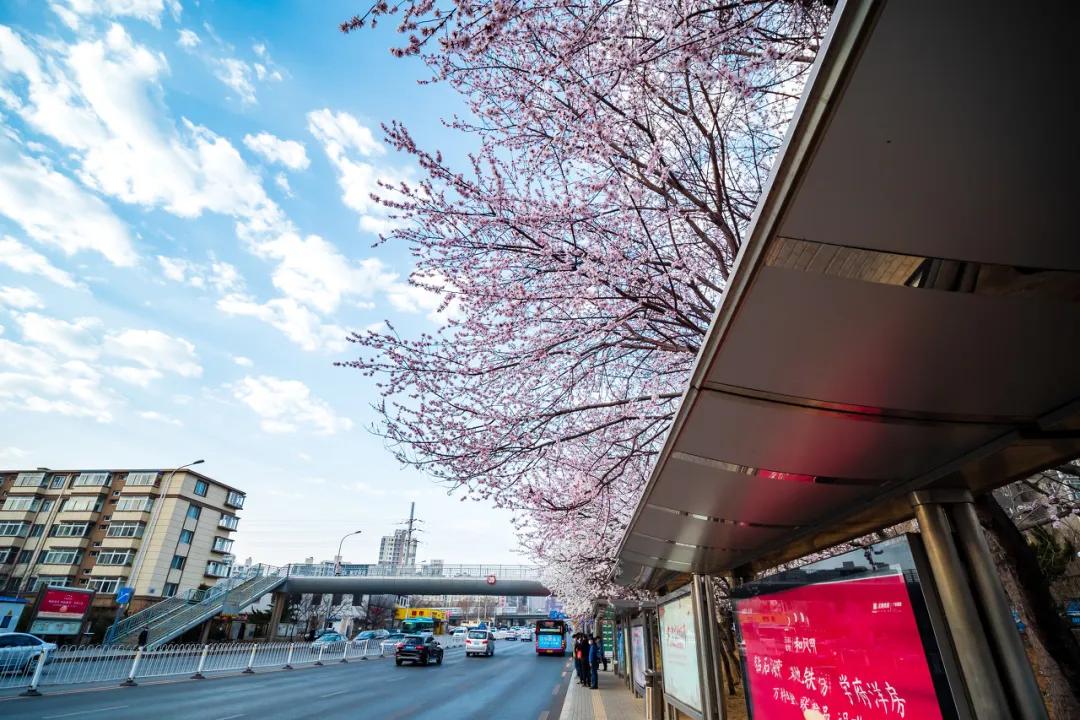 美过三亚！比厦门浪漫！中国这座海滨老城，去一次相当环游世界！