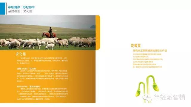 策划案例：好产品卖出高价值？助内蒙古苏尼特羊肉卖出中国最贵羊