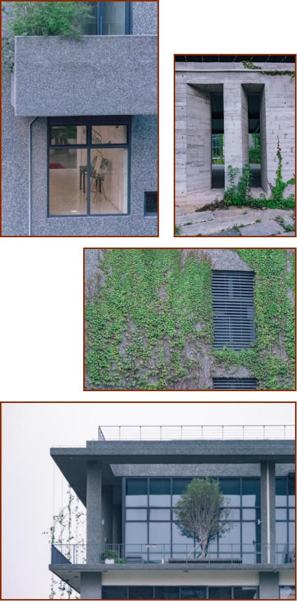 深圳宝安喝茶的世外桃源,宝安西乡世外桃源