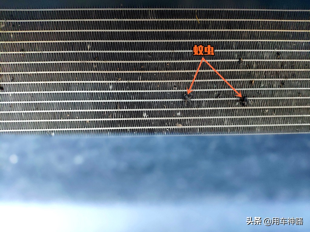 车内受潮,车内受潮有异味怎么办