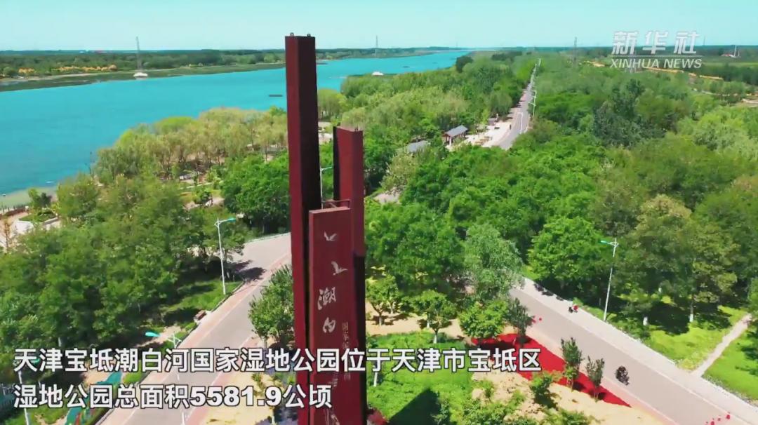 天津基建,天津大基建