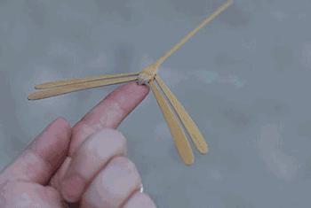 日语句子中的汉字什么时候用,时雨日文