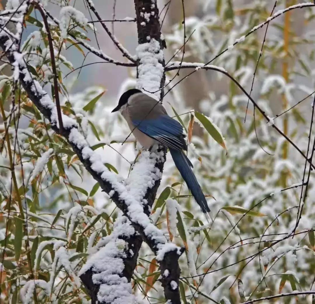 酒鬼趣事,酒鬼喝酒的趣事