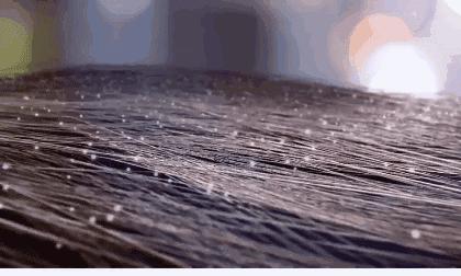 头屑多头痒用什么洗发水比较好,头屑多比较油用什么洗发水最好