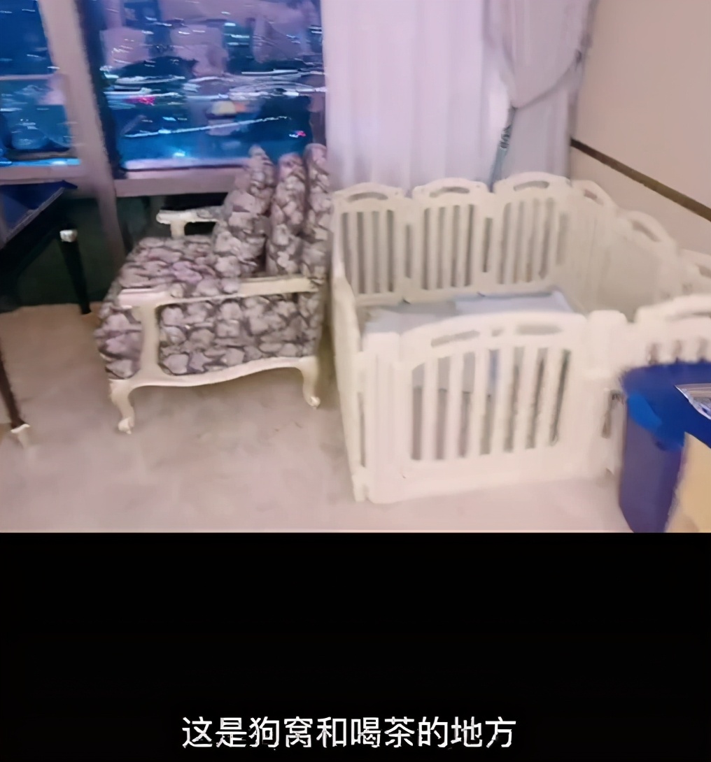 韩安冉1300w豪宅曝光,助理单独有房间,欧式装修满满公主风