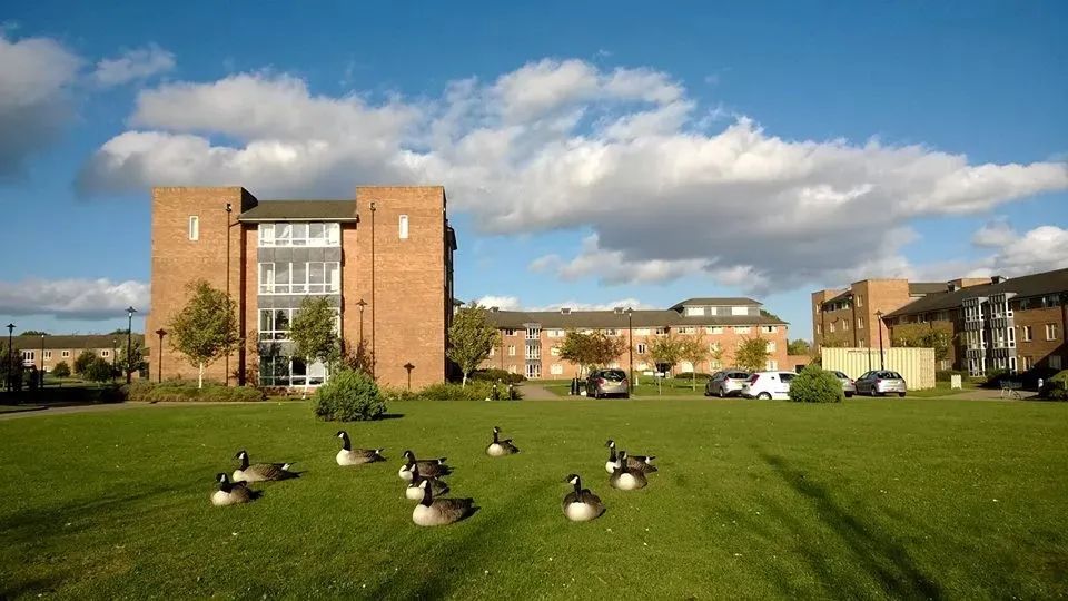 英国留学华威大学好不好,申请英国华威大学的条件