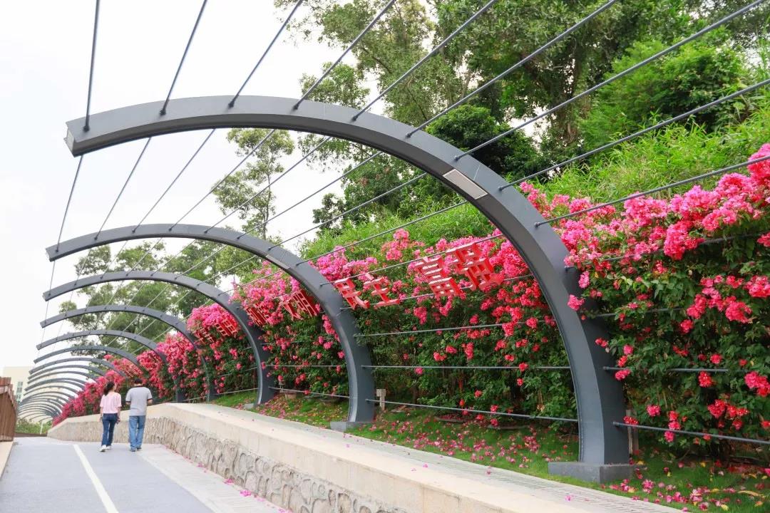 深圳遛娃50个必去的主题公园,深圳遛娃必去景点免费全部列表