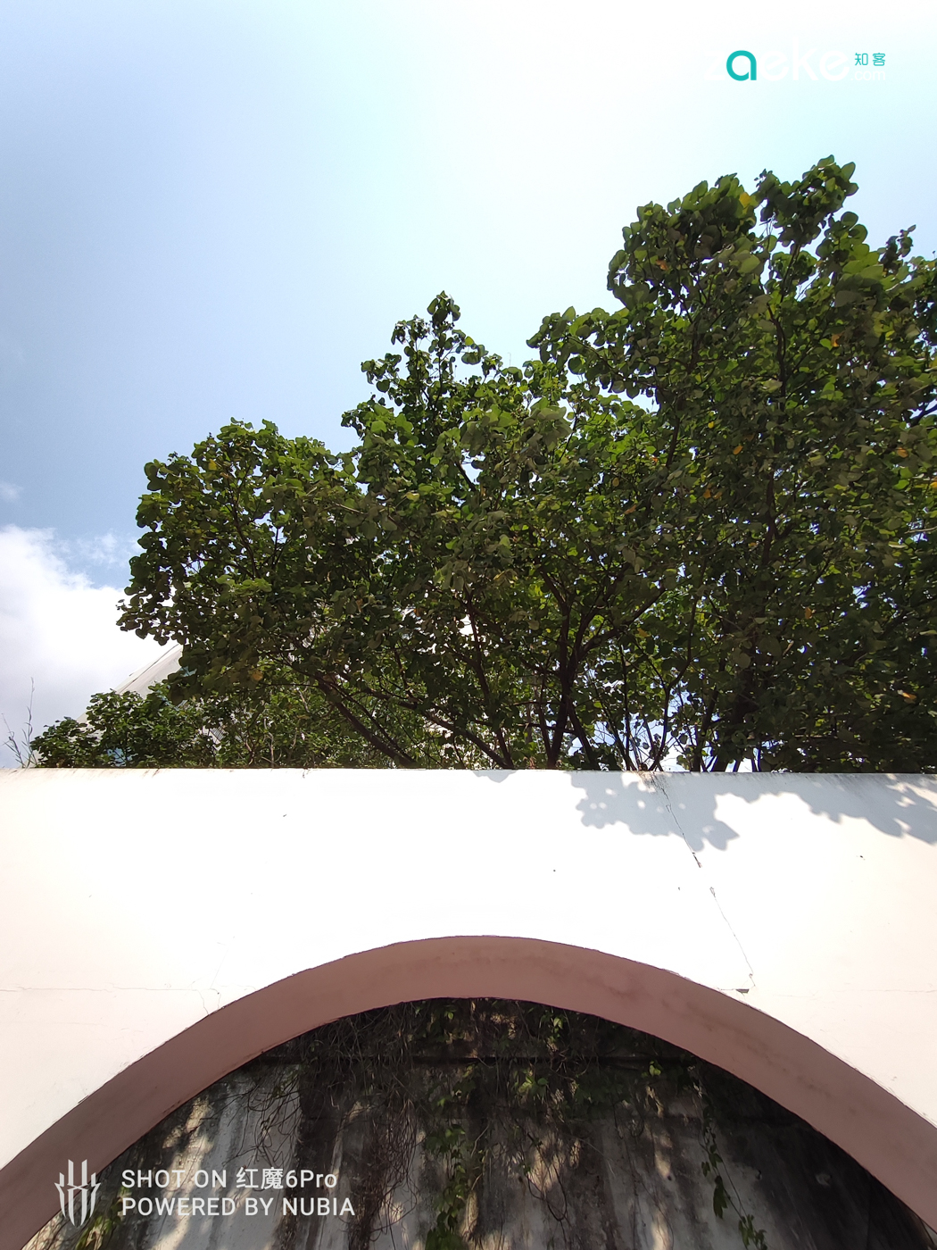 红魔6pro的魅力,红魔6pro的功能