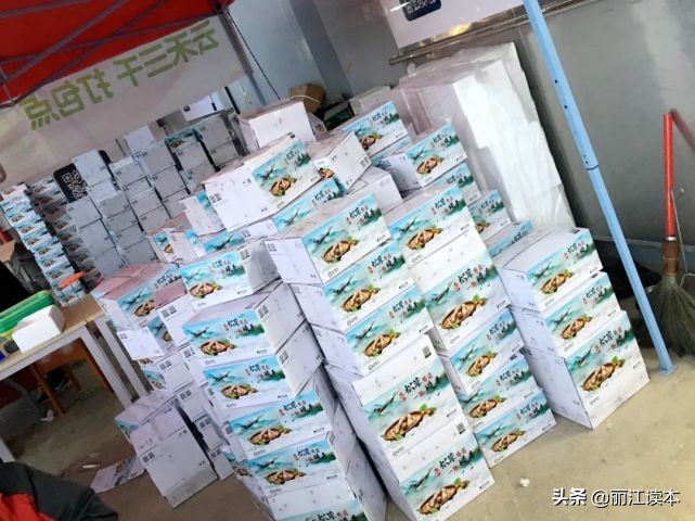 疯狂的松茸,疯狂的野生菌