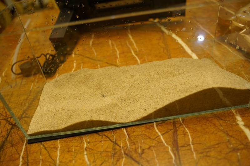 小佩起源纪鱼缸过滤怎么样,小佩起源纪鱼缸