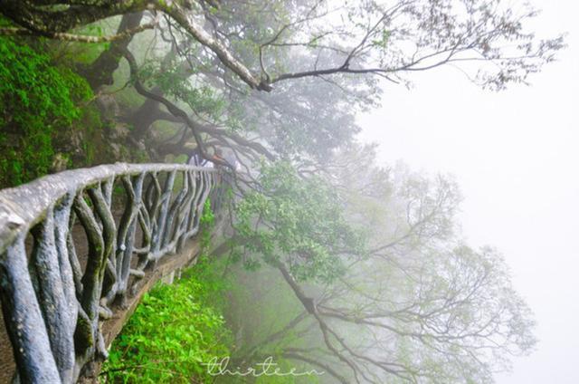 天门山森林公园和张家界森林公园,张家界天门山一日游最佳路线