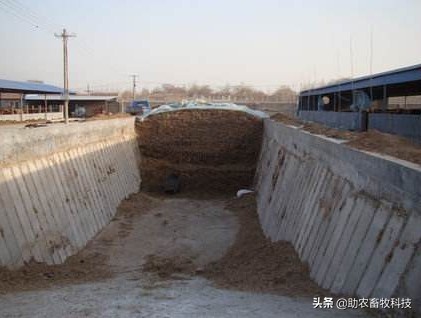 菠萝皮怎么做成饲料,菠萝皮可以做什么饲料卖