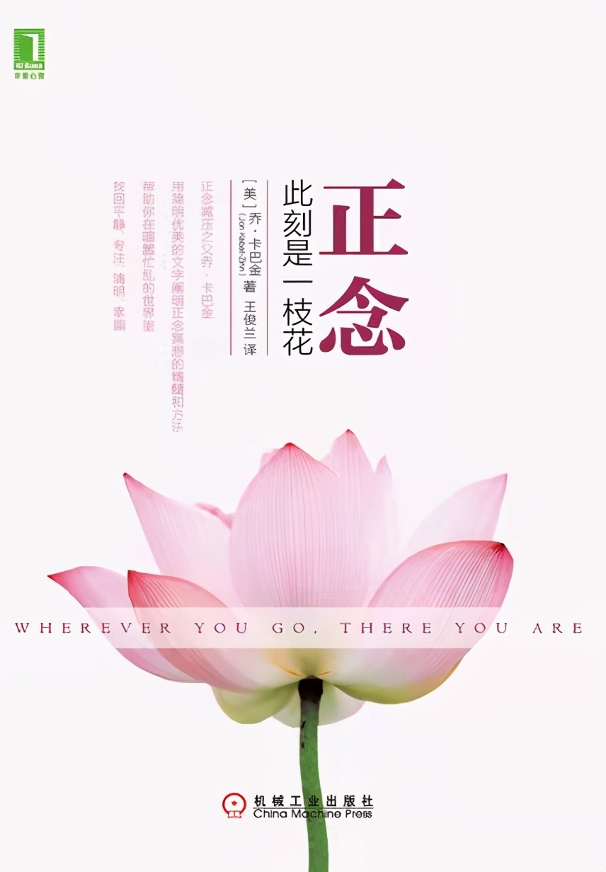 正念是一枝花,正念此刻是一枝花豆瓣评分