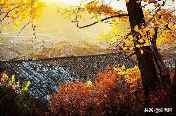 广东粤北最美公路,粤北最美的国道是哪条线