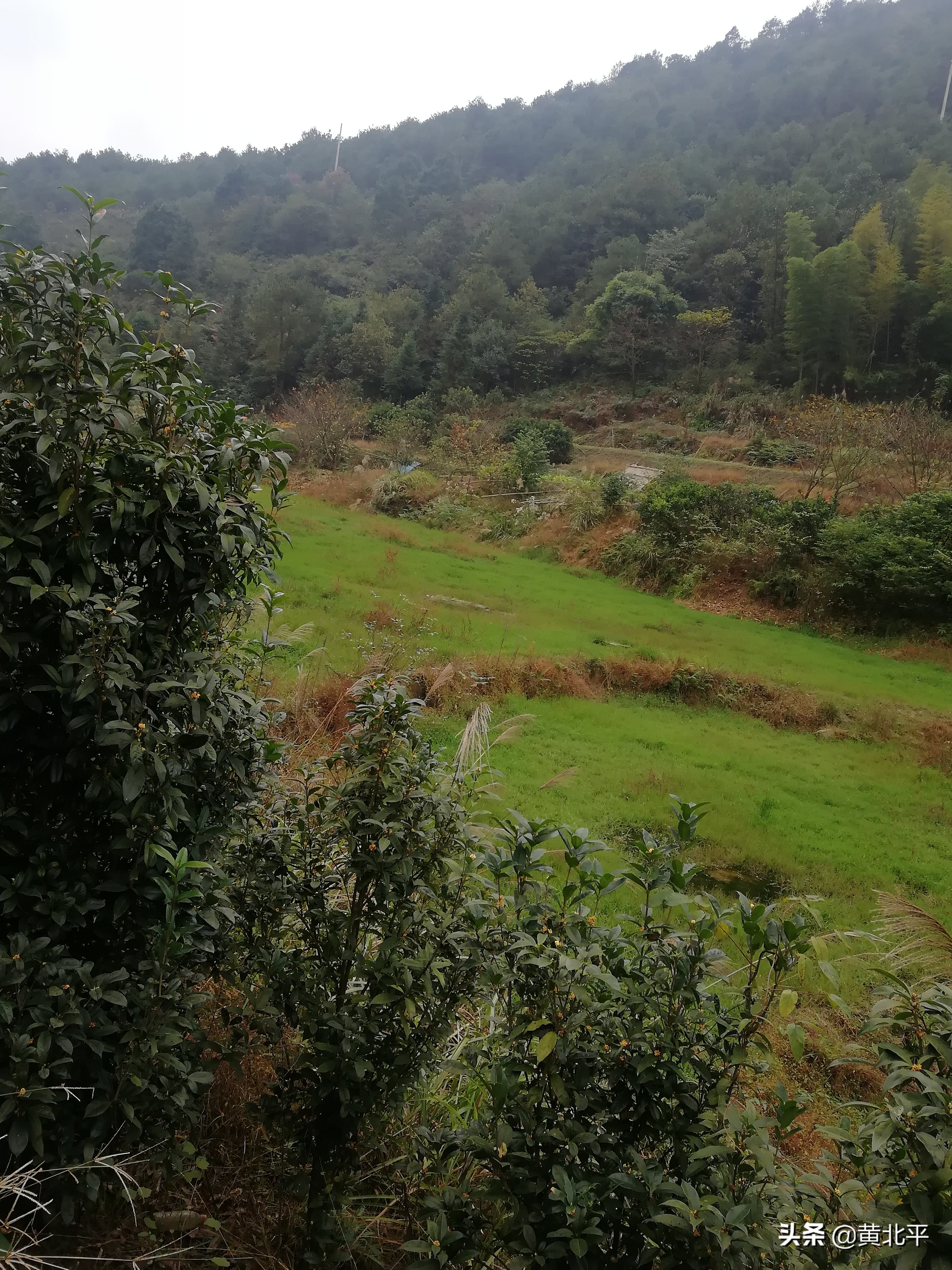 重庆爬山健身步道,重庆主城下雨都可以健身的步道