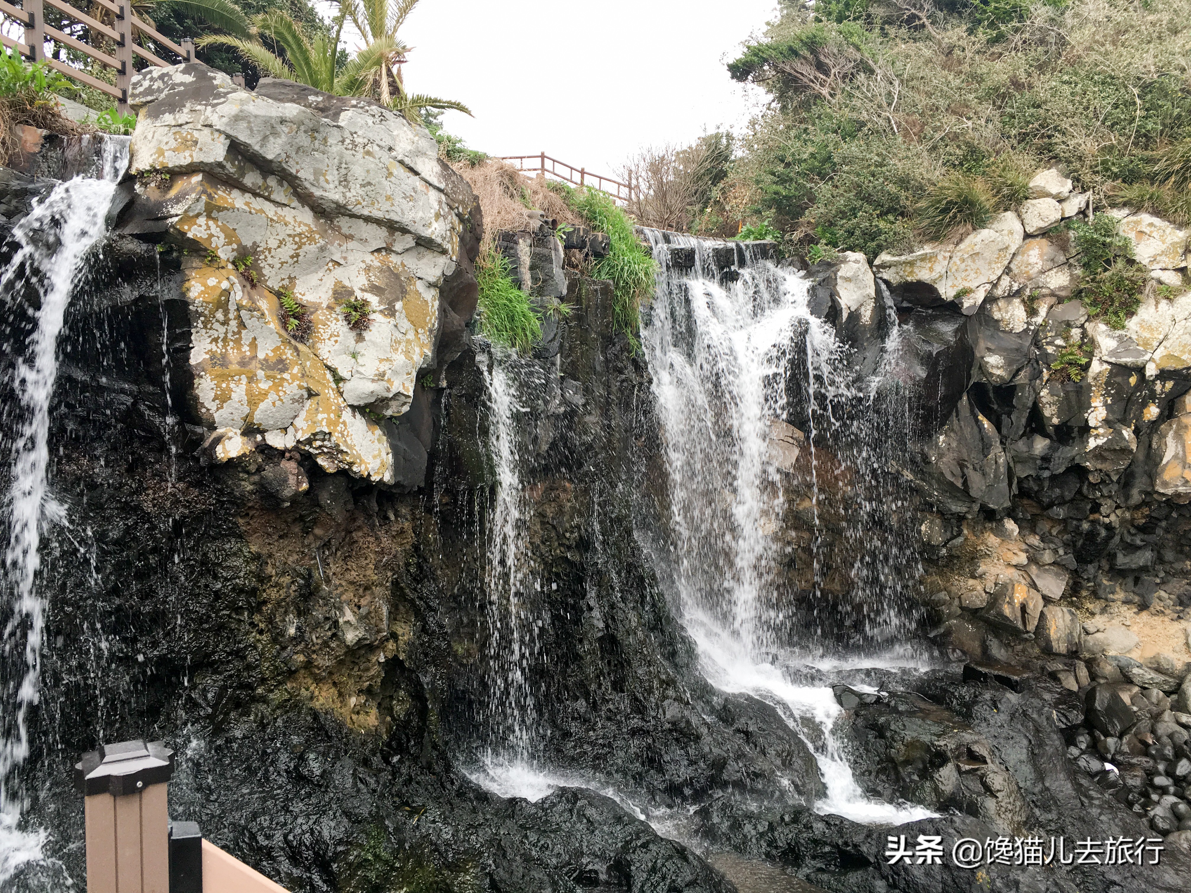 韩国人“看上”青岛，网友：对不起，我们不约