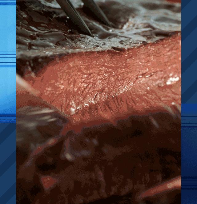 尝新买一送一｜强降雪来袭，注意及时大饱口福