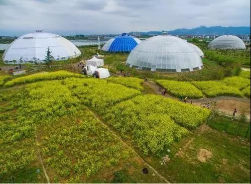 明明可以靠颜值偏要拼实力,明明可以靠颜值却偏偏要拼实力