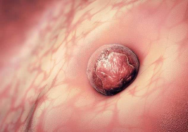 从排卵到怀孕，需要几天？若成功受孕，身体可能会有这3个变化！