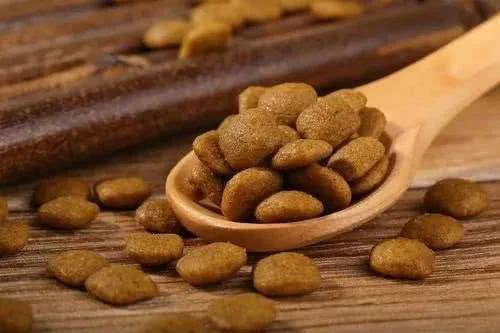 养狗人用什么狗粮最好用,养狗时间长了怎么喂