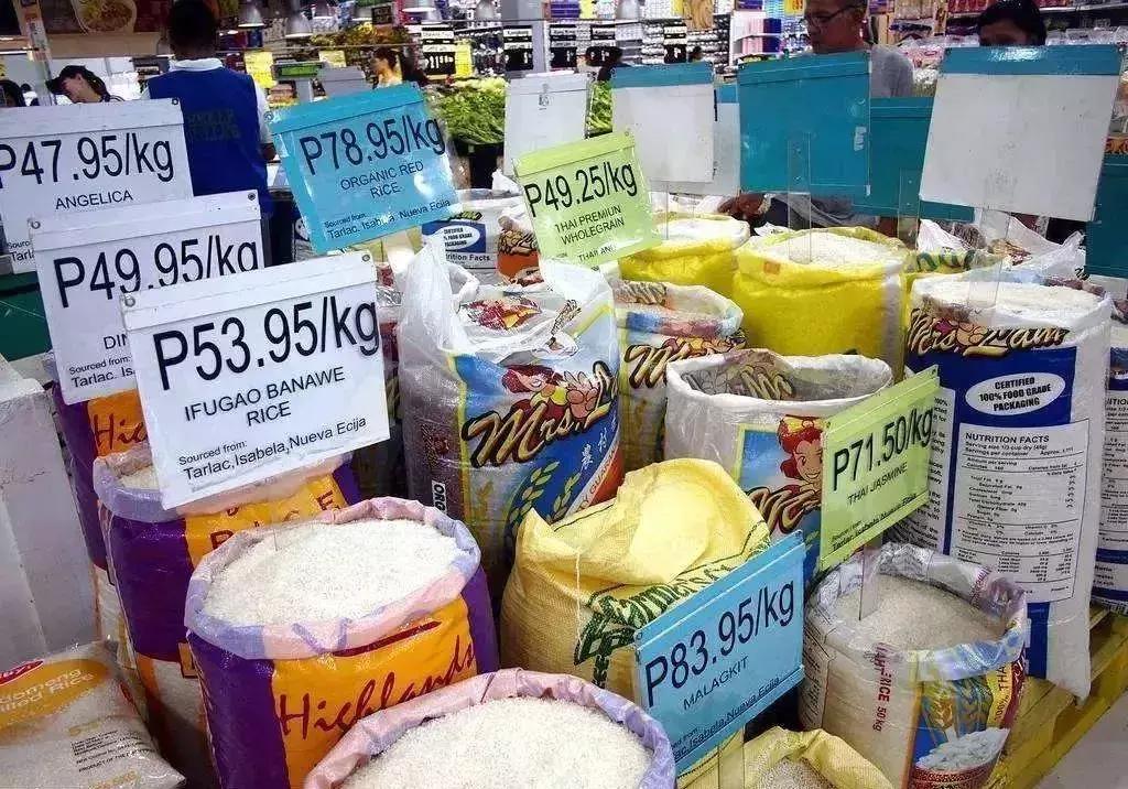 去香港带什么会被罚款,深圳人去香港可以呆多久