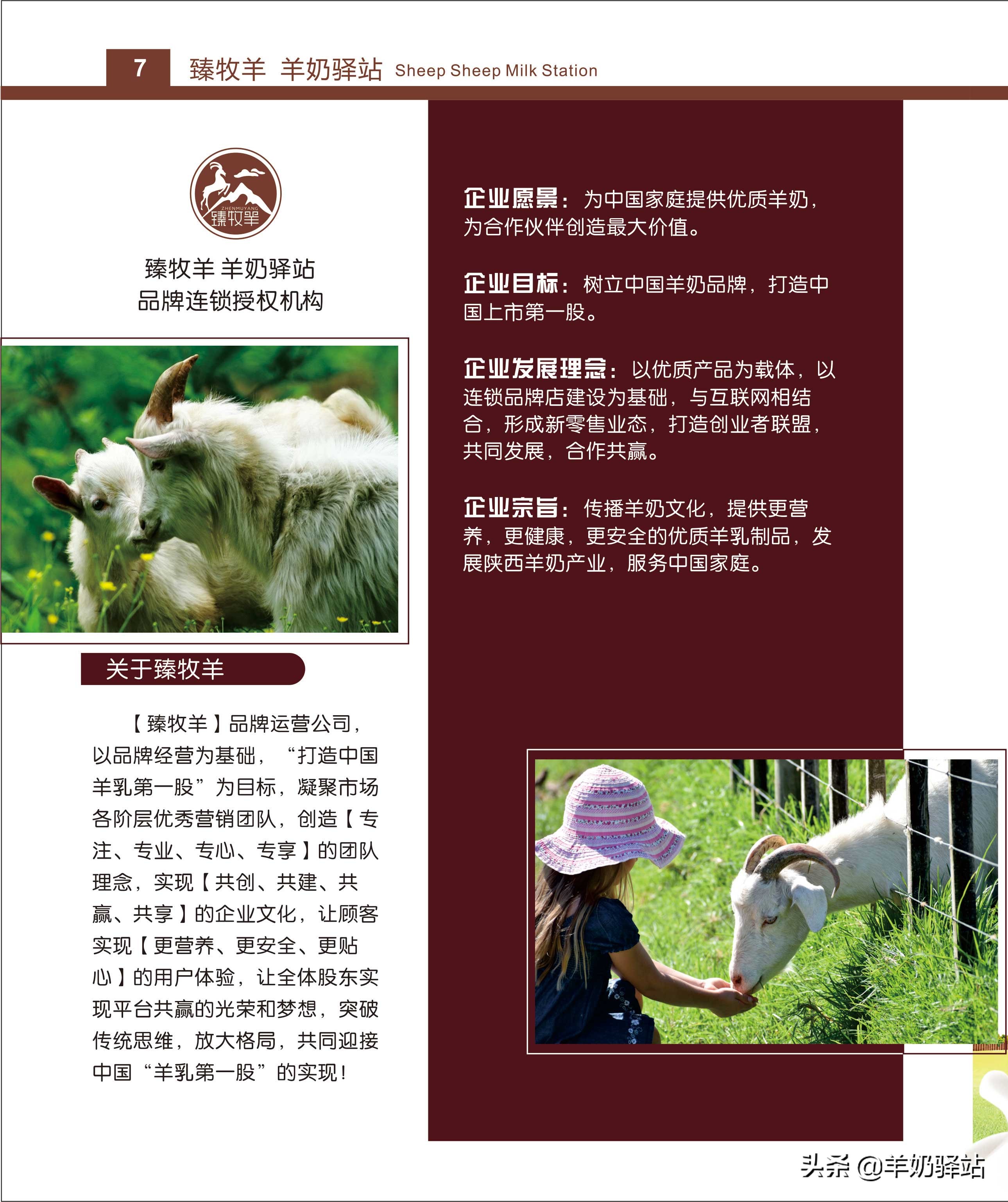 臻牧羊羊奶驿站运营模式,羊奶加盟连锁扶持排行榜