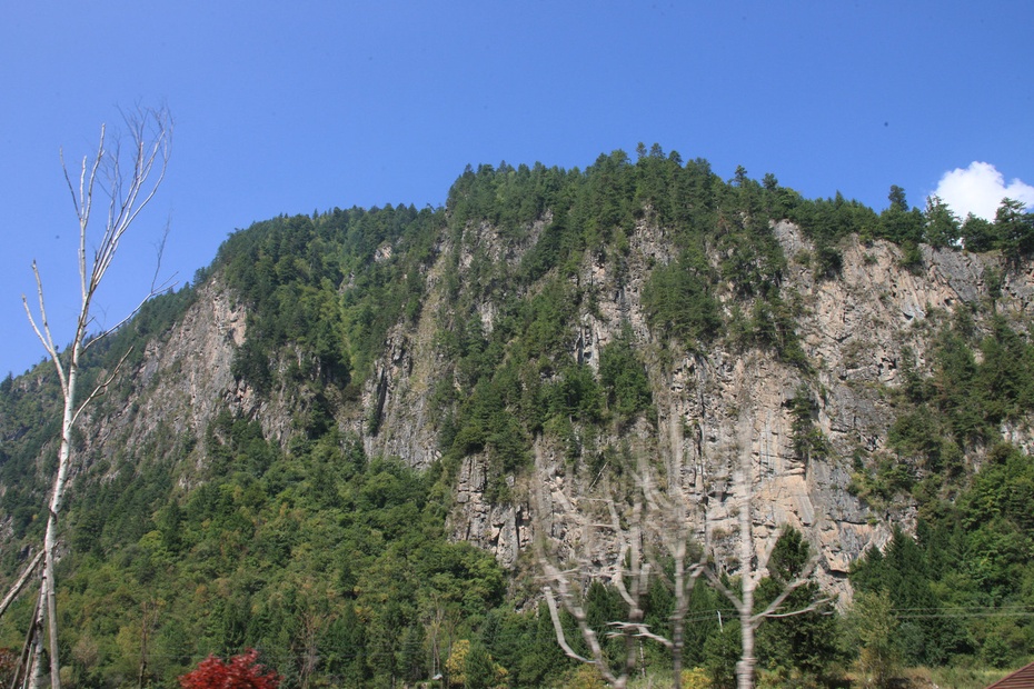 米亚罗-大美理礼县