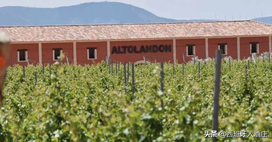 走进葡萄酒专卖店,走进葡萄酒庄园视频