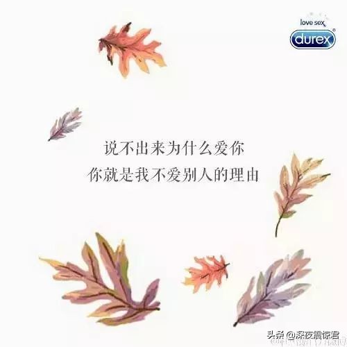 520文案来袭,520文案比较甜的