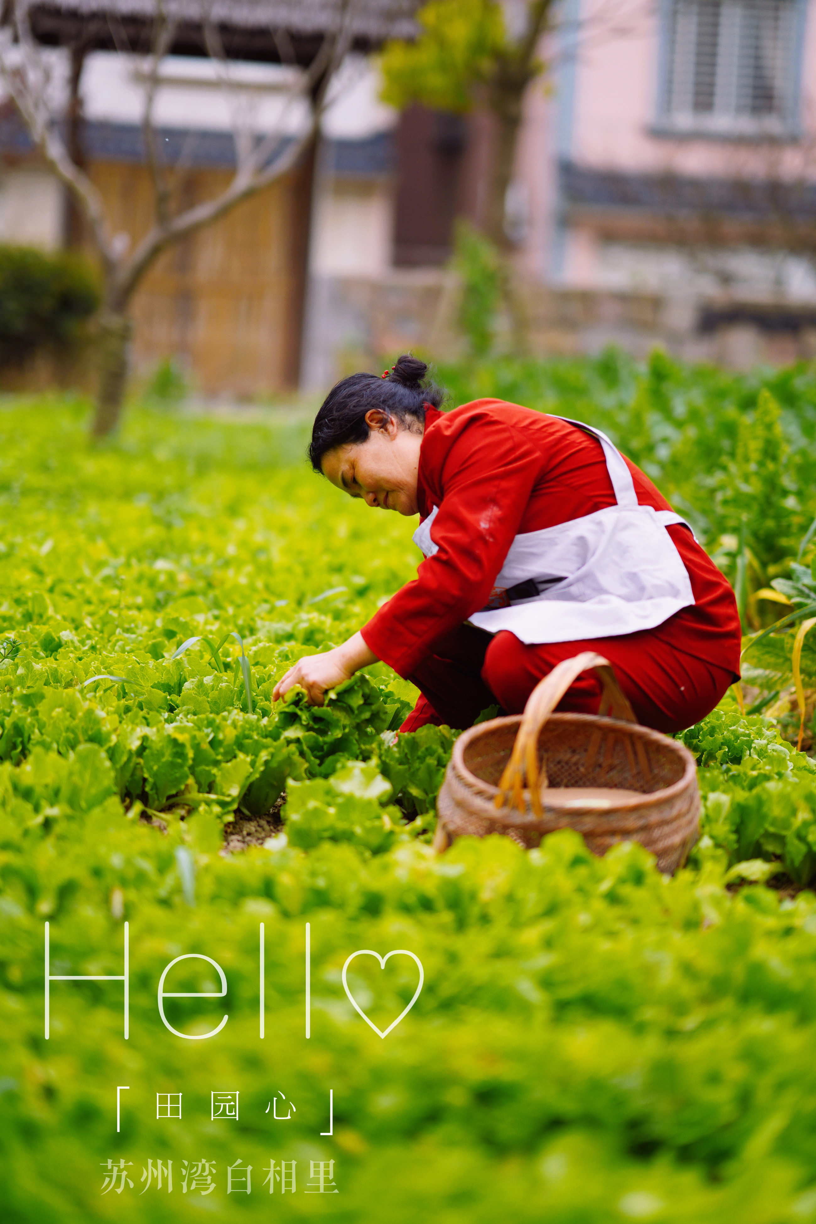送你一份最地道的苏州逛吃攻略,苏州便宜又好看的民宿推荐