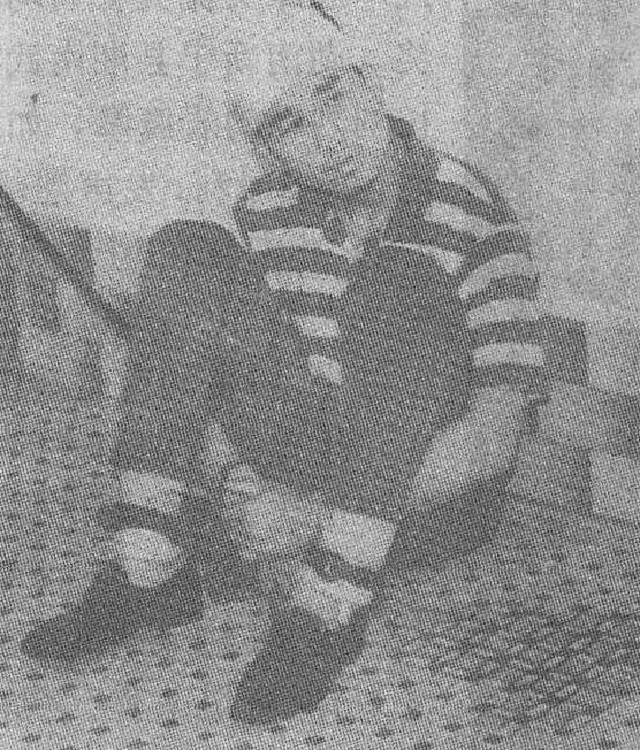 老汉贪卖冬瓜引发香港凶案,深圳老人捡冬瓜捡出大案