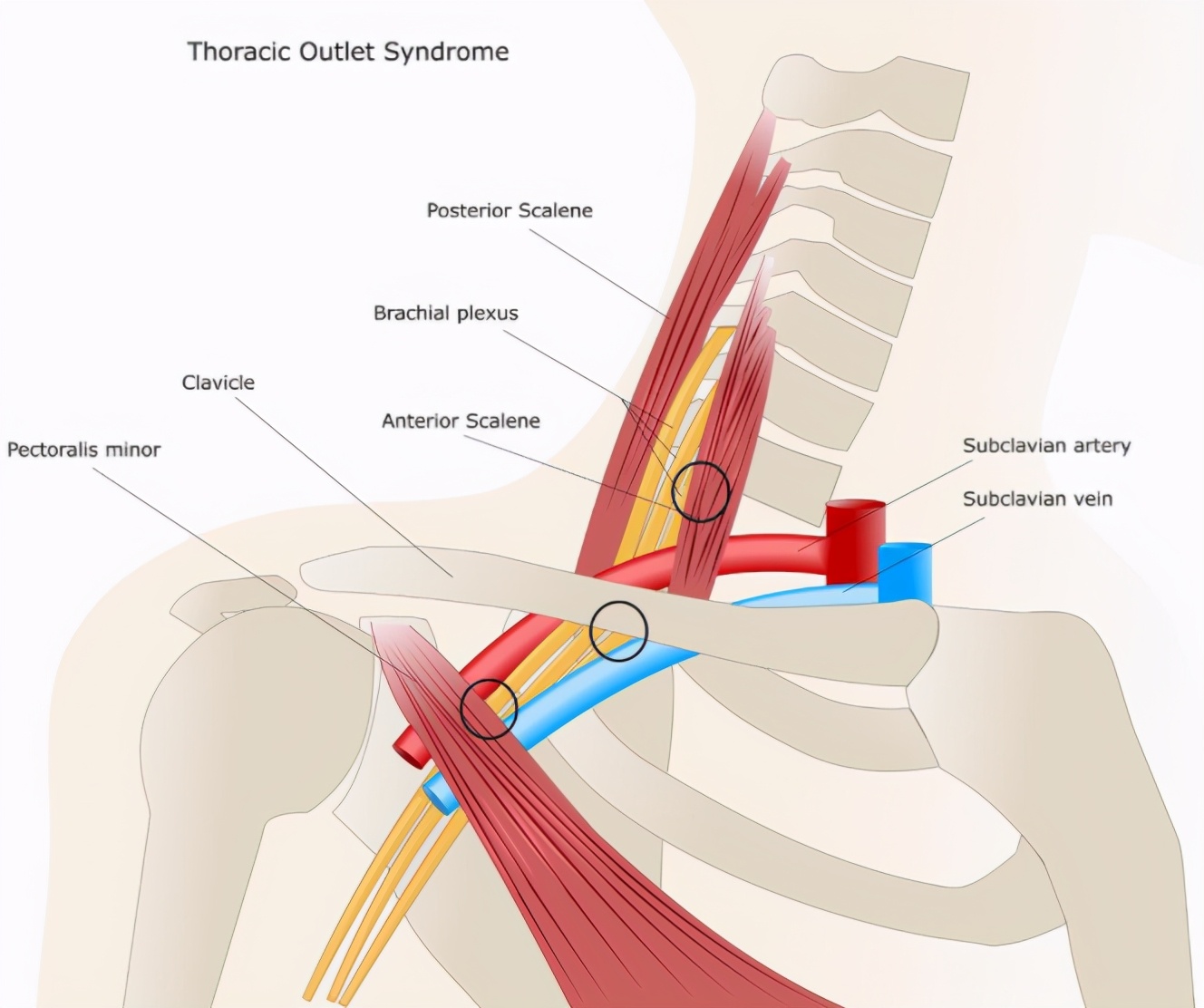 手麻什么病,手麻是什么病的前兆挂什么号