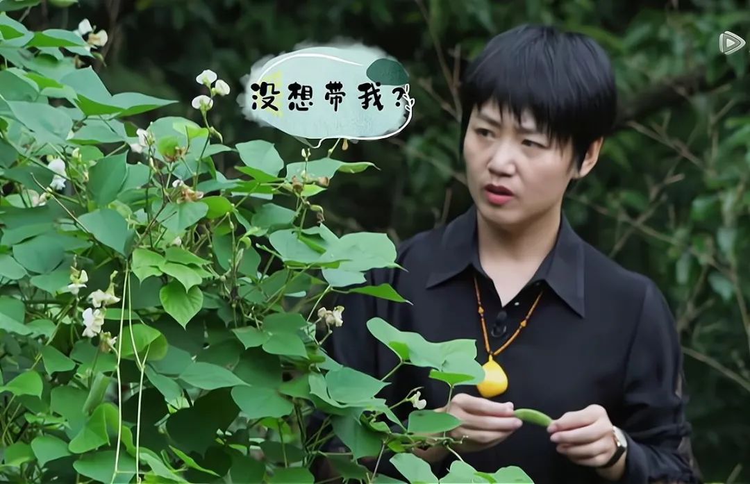 于谦的婚姻经历,于谦的婚姻状况和经历