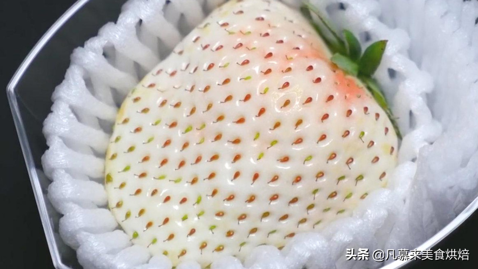 草莓哪个品种最好吃又好种,2018产量最好最大的草莓品种